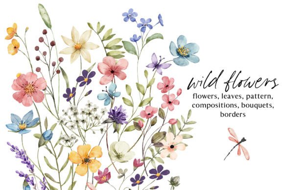 Download Wild Flowers, Butterflies and Dragonfly. - Butterflie Collection
